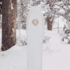 Placă de snowboard Burton Family Tree Backseat Driver Pow Surfing