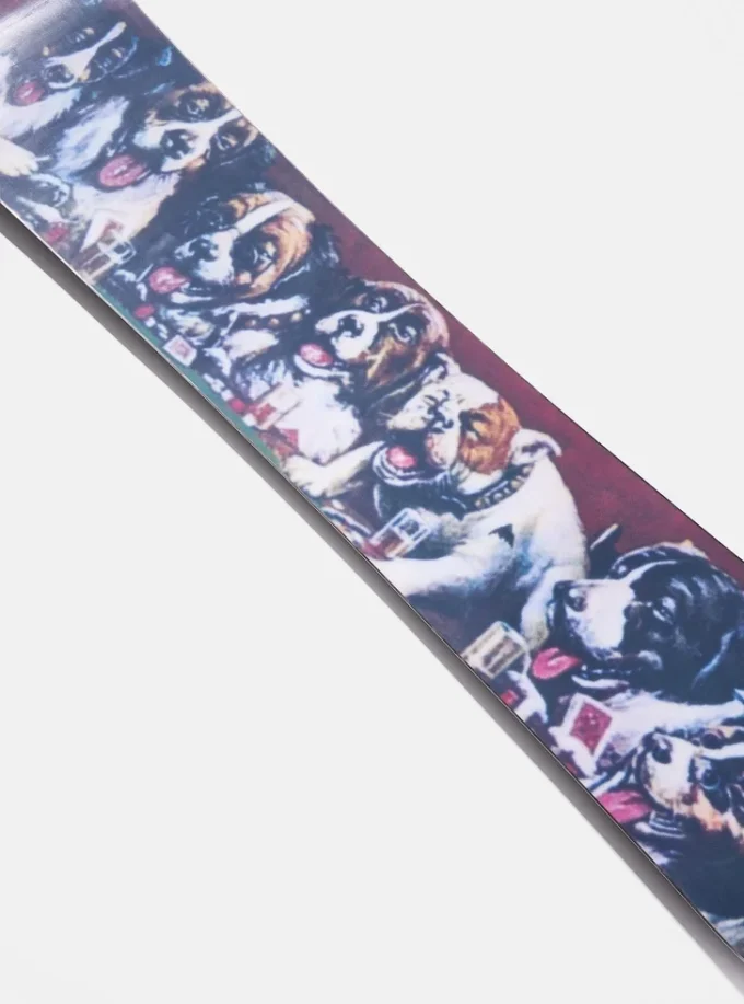 Placă de snowboard Burton Good Company Camber
