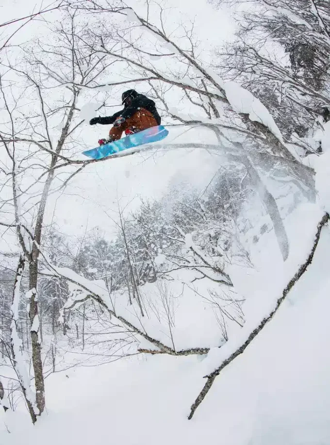 Placă de snowboard Burton Mystery Deep Thinker Camber