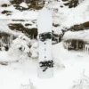 Snowboard Burton Family Tree 3D Deep Daze