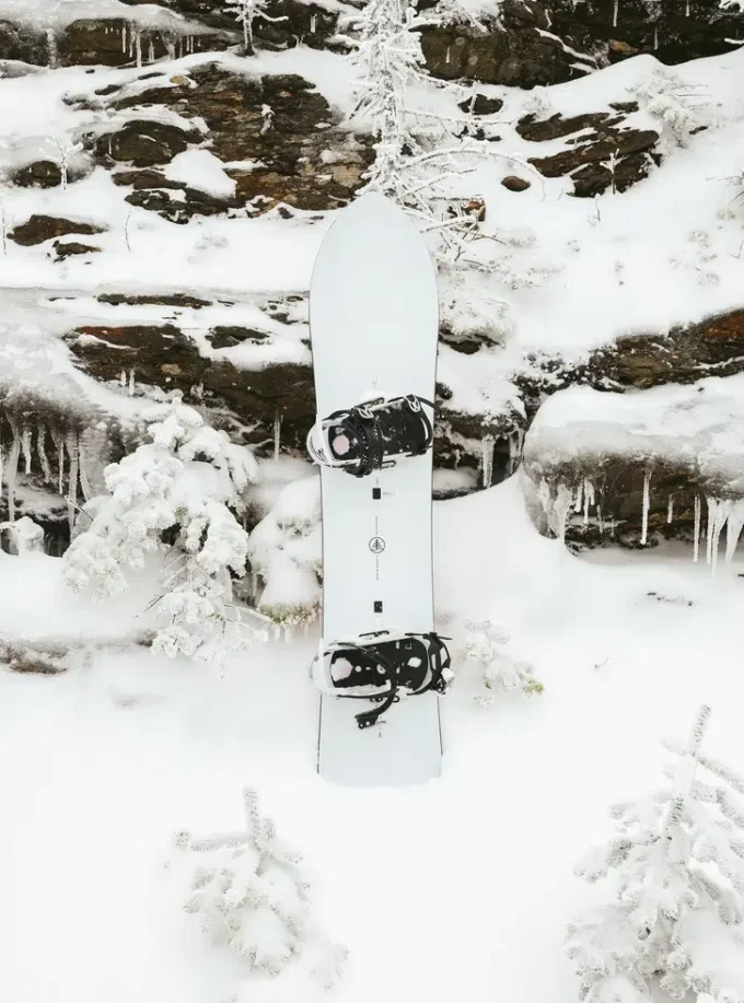Snowboard Burton Family Tree 3D Deep Daze