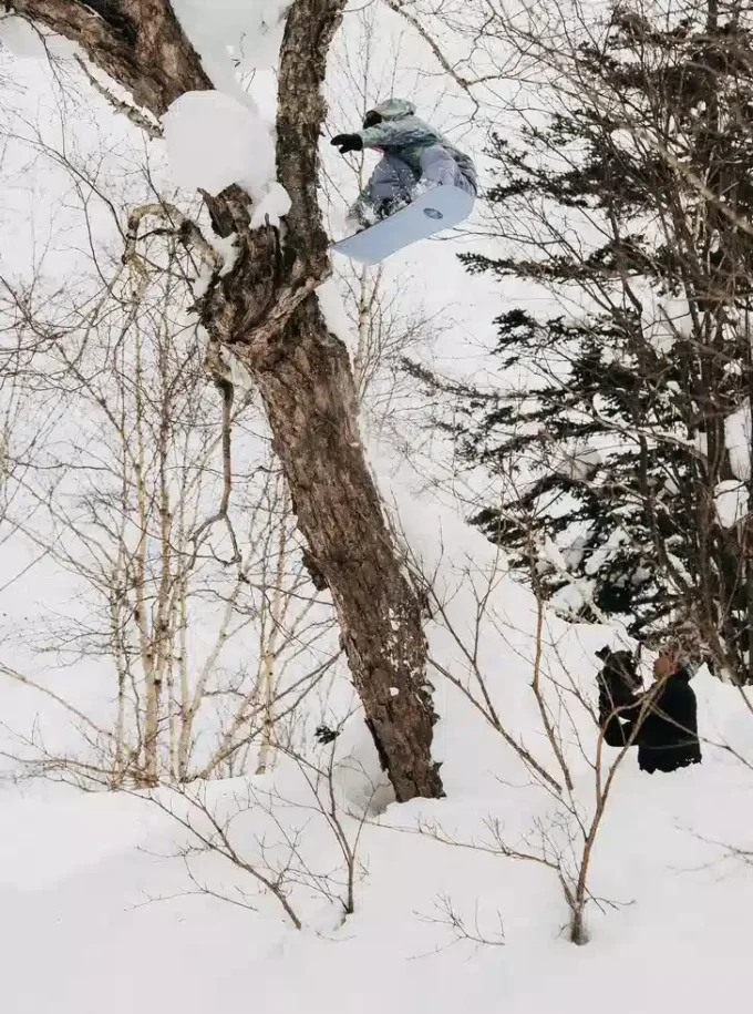 Snowboard Burton Family Tree Hometown Hero Camber