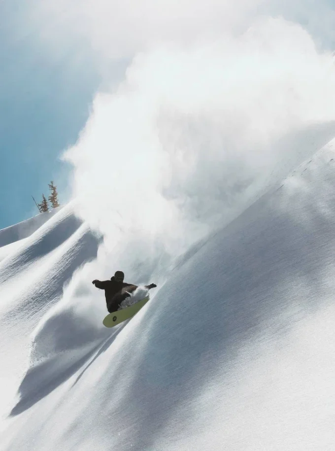 Snowboard Burton Family Tree Sensei Camber