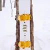 Snowboard Burton Process Camber pentru bărbați