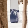 Snowboard Burton Yeasayer Flying V pentru femei